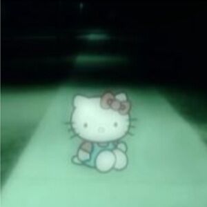 Meet your Posher, Reagan